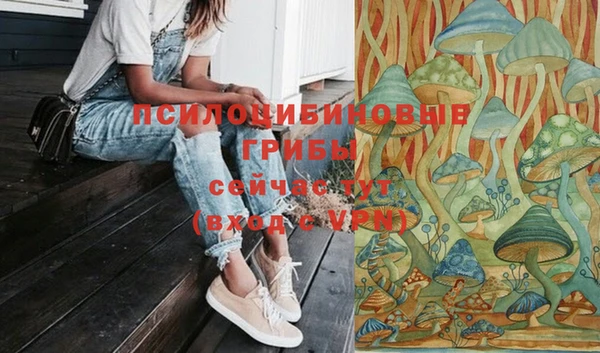 apvp Дмитровск
