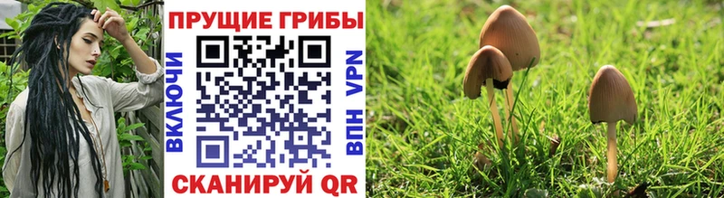 Купить закладки  Очёр  Галлюциногенные грибы мухоморы 